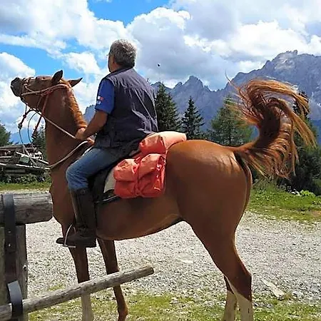 Rifugio Rinfreddo Hotel